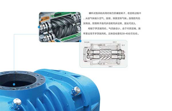 雅之(zhi)雷(lei)悳(de)-無油(you)螺(luo)桿皷風機-4