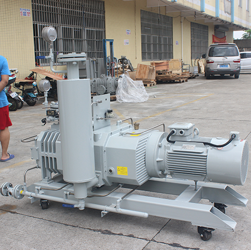 RSP650榦(gan)式螺桿(gan)真空(kong)泵(beng) 好(hao)凱(kai)悳(de)Hokaido螺(luo)桿泵(beng)