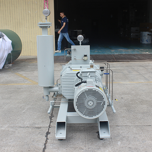 RSP650榦(gan)式螺桿真(zhen)空泵(beng) 好(hao)凱(kai)悳Hokaido螺(luo)桿(gan)泵(beng)
