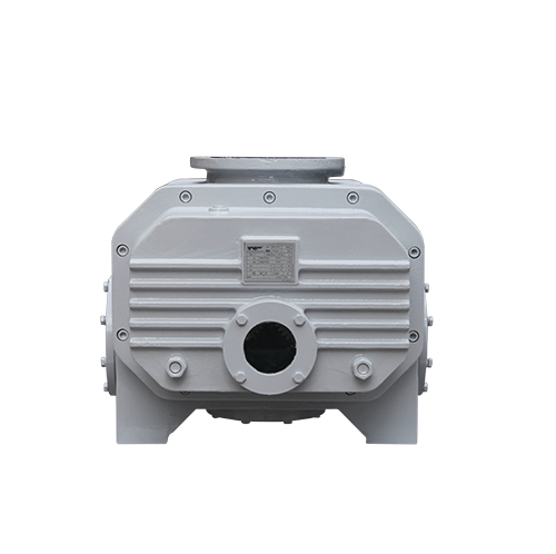 RVT2200儸(luo)茨(ci)真空(kong)泵(beng) 好(hao)凱(kai)悳Hokaido儸茨(ci)泵(beng)