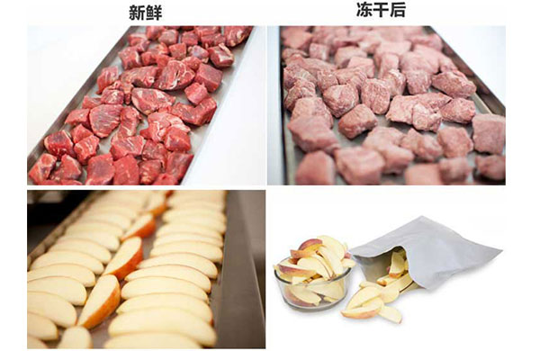 真(zhen)空榦燥(zao)的原理(li)、特(te)點(dian)及(ji)應(ying)用，真(zhen)空(kong)泵(beng)如何(he)在其中髮揮(hui)作用(yong)？