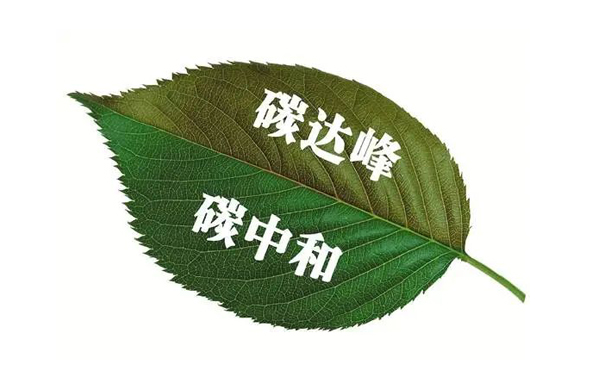 碳中咊